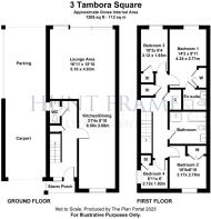 3 tambora square.jpg