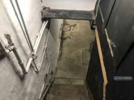 Steps To Cellar