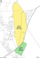 Ratleigh & CAP - Sale Plan .jpg