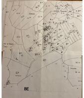 Floor/Site plan 1