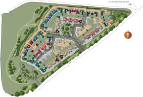 Development Layout