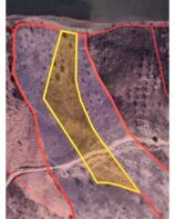 Floor/Site plan 2