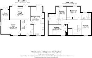 1 orchid close.jpg