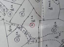 Floor/Site plan 1