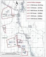 MX-2614N_20240820_124101 copy.jpg