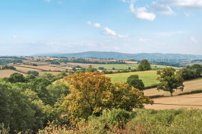 Dartmoor View
