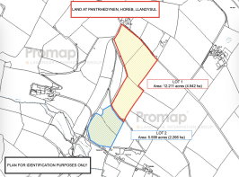 LAND AT PANTRHEDYNEN, HOREB, LLANDYSUL PLAN.png