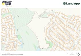 Site Plan.jpg