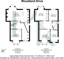 Woodland Drive.jpg