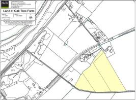 17.30 acres at Oak Tree Farm.JPG