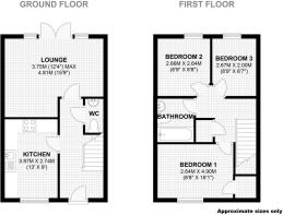 Picture 11