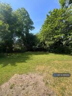 View Of The Garden From Back Door