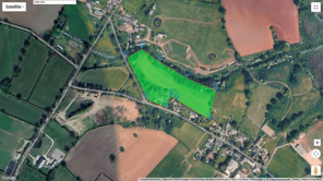 Thorn Tree Farm Plot