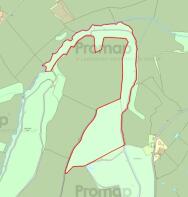 Lion Lane Wood (002).jpg