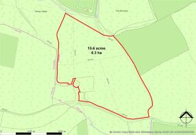 woodland-at-mayor-house-farley-green_detail_09-38_