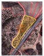 Floor/Site plan 1