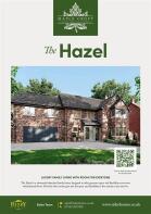The Hazel_P1.jpg
