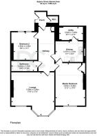 Basement Wilderness.jpg