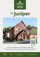 The Juniper_P1.jpg