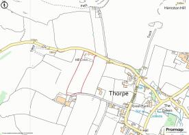 Promap-3559713-3658877-2082-0.jpg