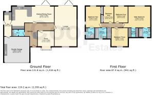 Floor/Site plan 1