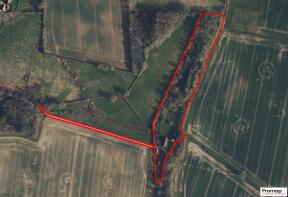 Promap-3546254-3645123.jpg