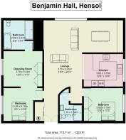 4 Benjamine Hall.jpg