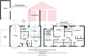 16 Chestnut Avenue - all floors.JPG