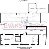 Tynllain Silian_edited.jpg