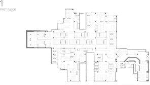Floor/Site plan 1