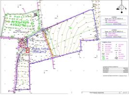 Floor/Site plan 1