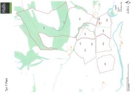 Land Plan Tyn Y Pant.jpg