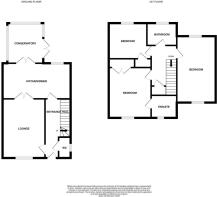26 flycatcher way-high.jpg