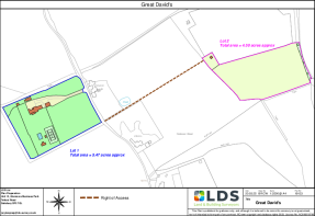 19123_Great Davids -