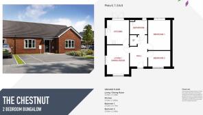 Chestnut Floor Plan
