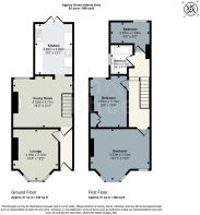 New Zealand Road.png