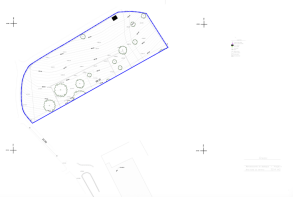 Floor/Site plan 1