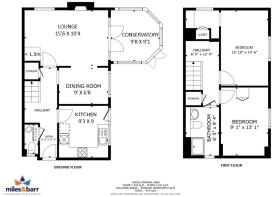 Picture 16