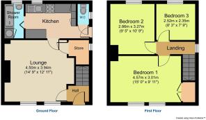 Floor Plans (Coloured Rooms) (5).jpg