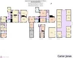 Picture 25