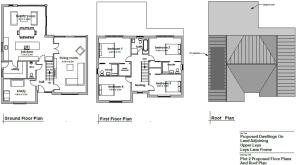 Floor/Site plan 1