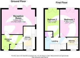 Picture 14