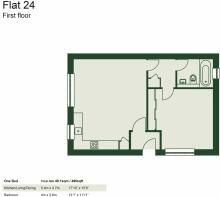 Picture 8