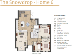 The Snowdrop