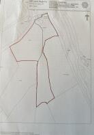 IMG_4054.jpeg