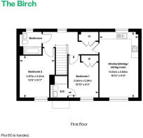 birch ff