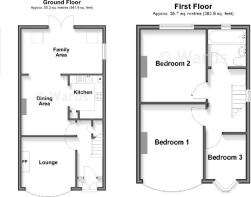 19 Springfield - ...