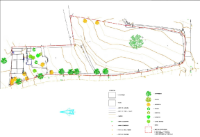 Floor/Site plan 2
