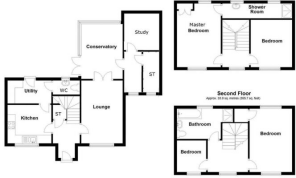 26 capercallie close.png