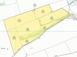 SALE PLAN Land at White Lackington - For Alto.jpg